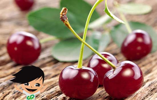 Good cherries from Fundão